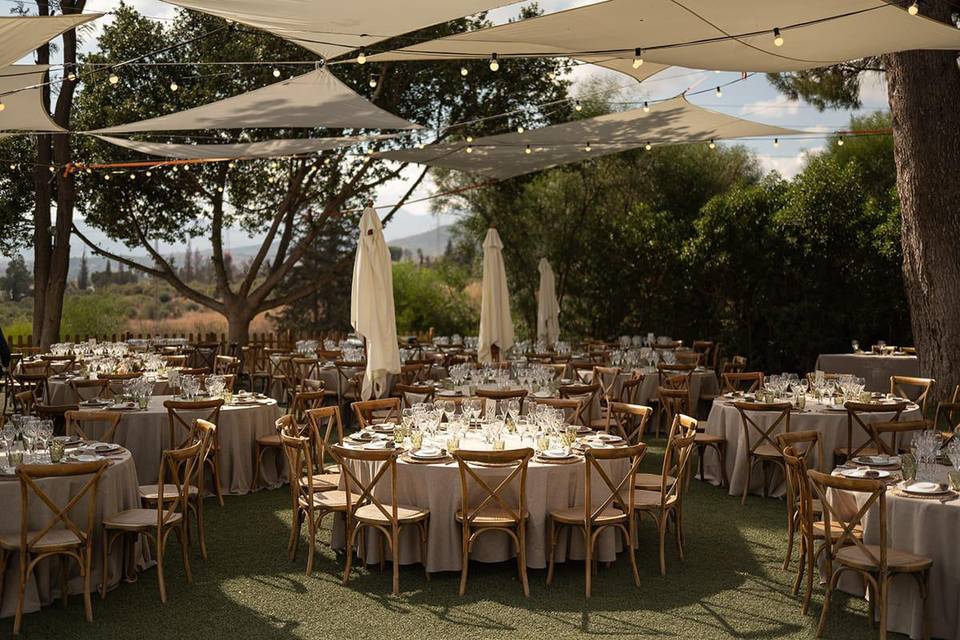 Finca Santa Sofía by P&G