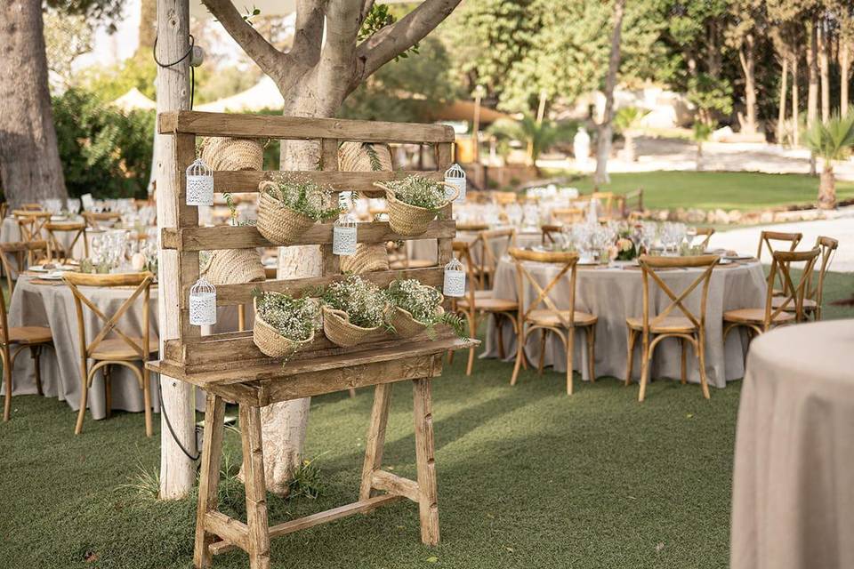 Finca Santa Sofía by P&G