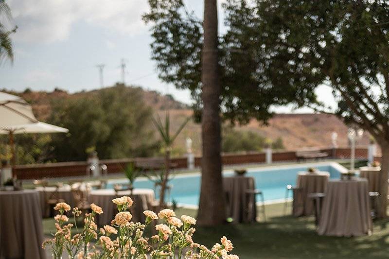 Finca Santa Sofía by P&G