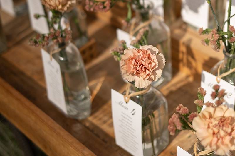 Finca Santa Sofía by P&G