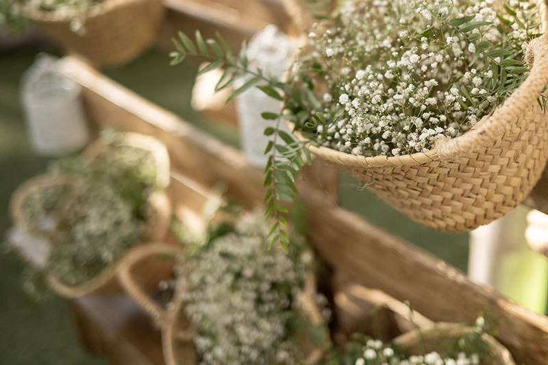 Finca Santa Sofía by P&G