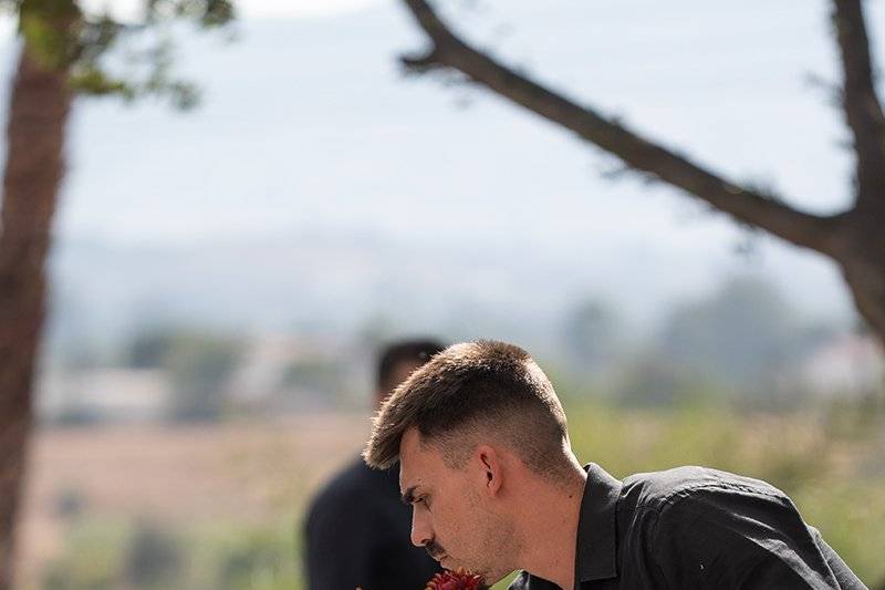 Finca Santa Sofía by P&G