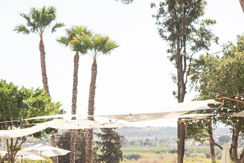 Finca Santa Sofía by P&G