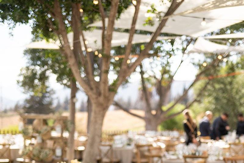 Finca Santa Sofía by P&G