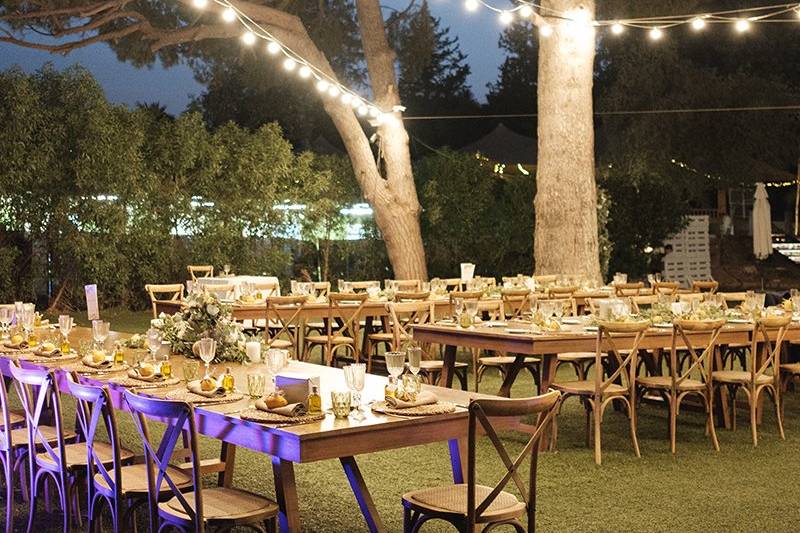 Finca Santa Sofía by P&G