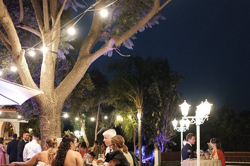 Finca Santa Sofía by P&G