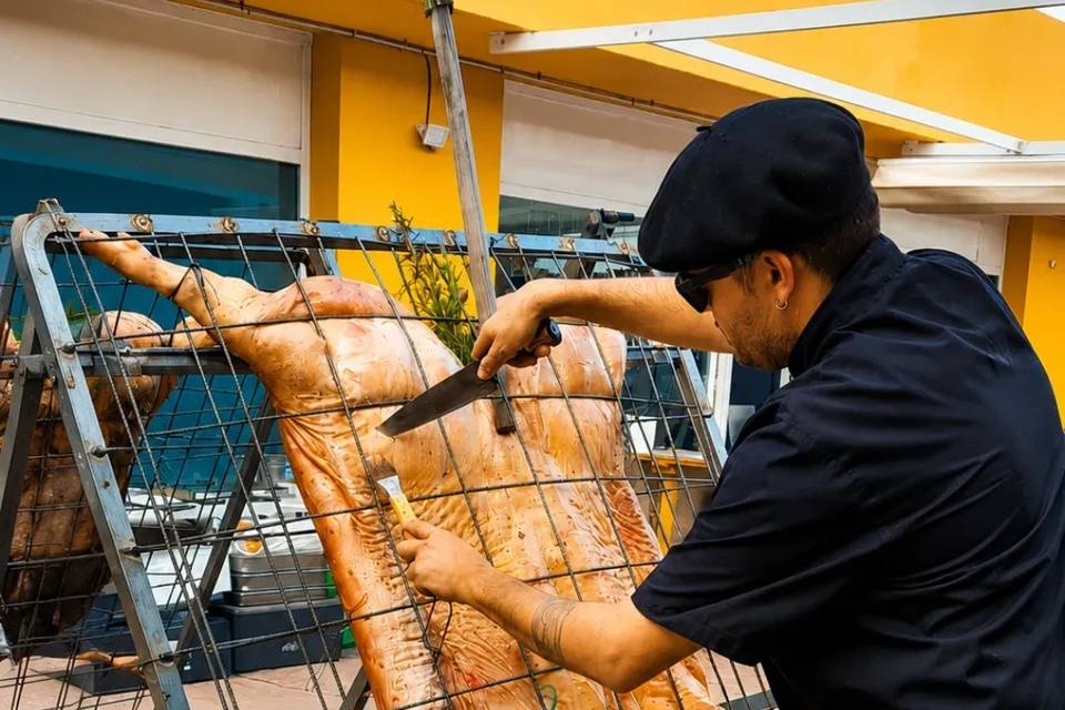 Fuegos del Sur