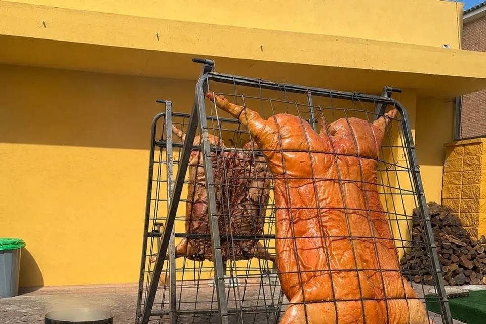 Fuegos del Sur