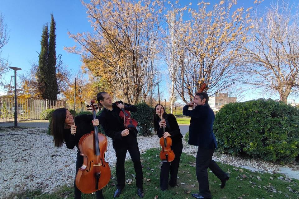 Cuarteto, Granada.