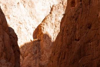 Compamento de lujo en Merzouga
