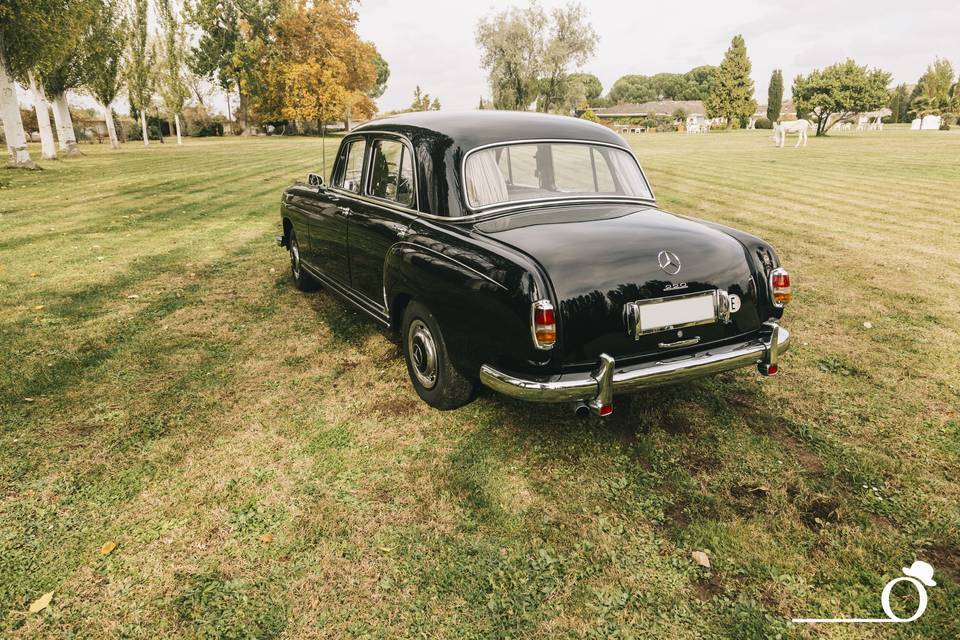 Mercedes 220 Ponton