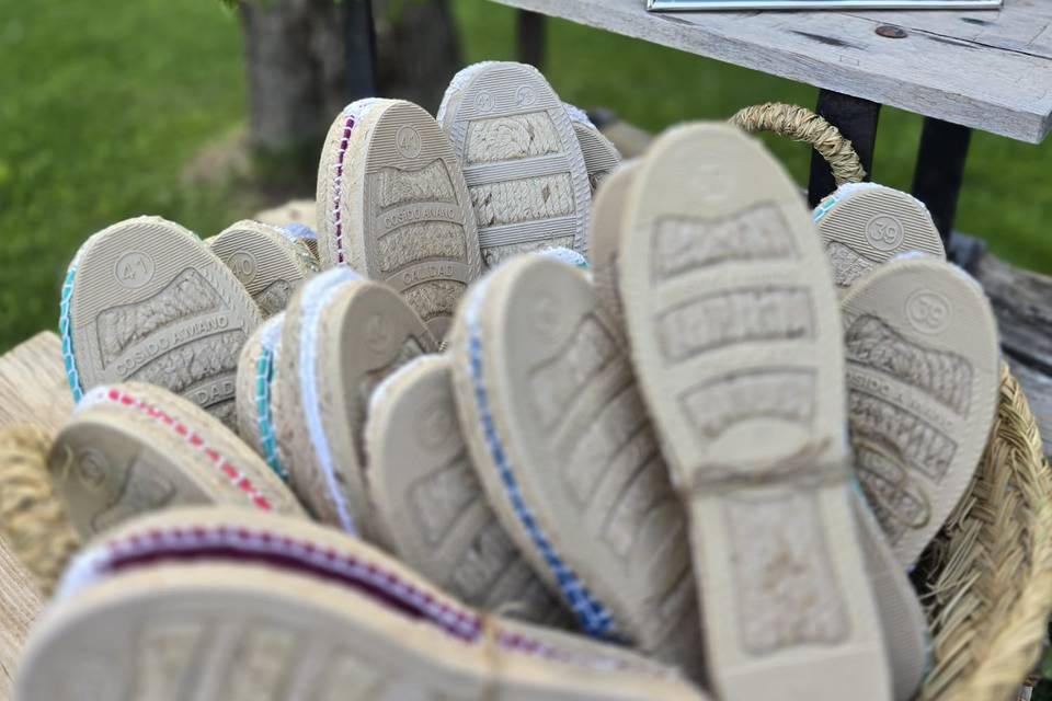 Zapatillas