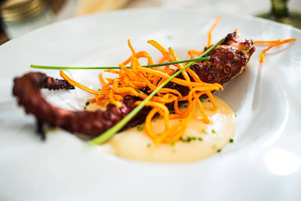 Pulpo
