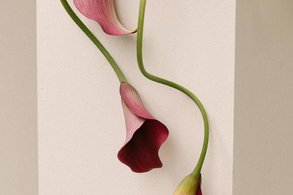 Flor