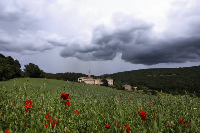 Monestir de les Avellanes