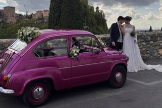 Seat 600 Rosa