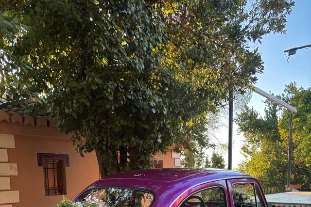 Elegancia, encanto y mucho amo