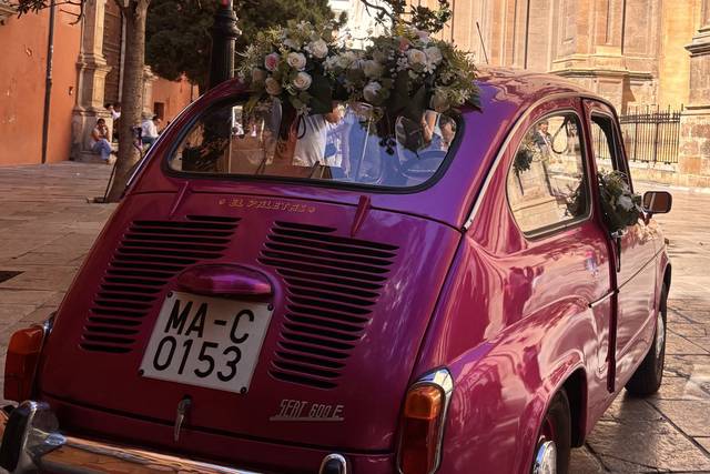 El 600 en la Catedral
