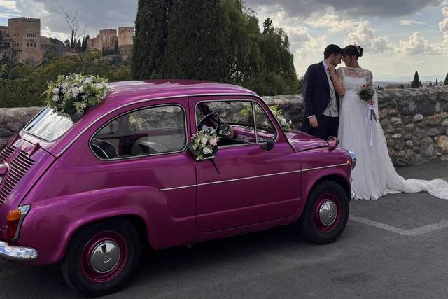 Seat 600 Rosa