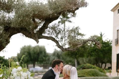Palma Eventos