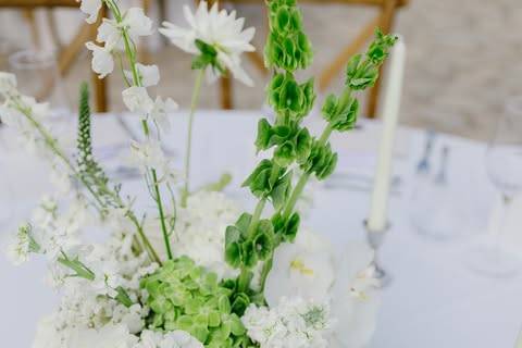 Palma Eventos