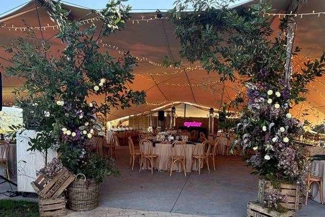 Entrada a carpa