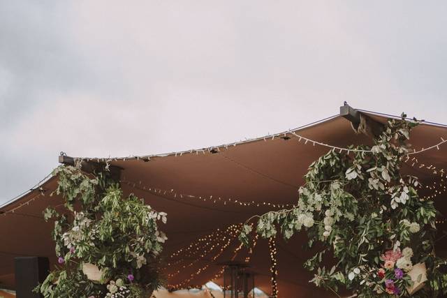 Carpa