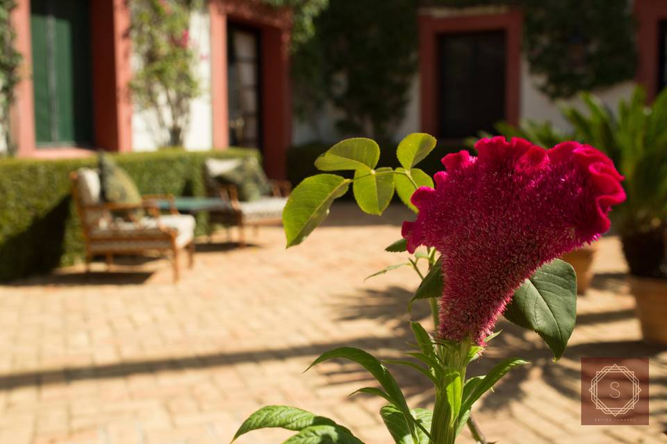 The Courtyard