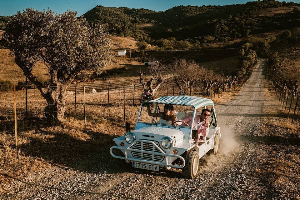 Bridal car