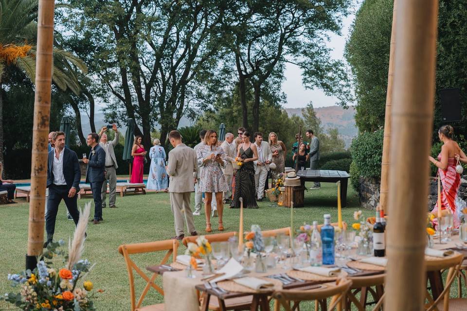 Wedding