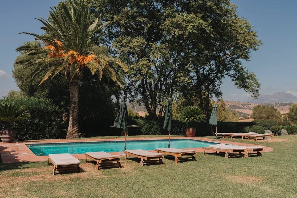 The swimming pool area