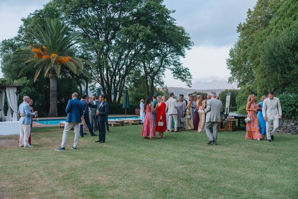 Wedding