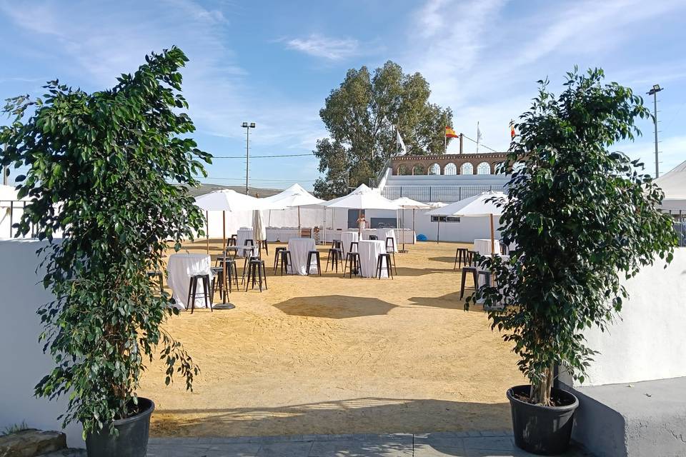Aperitivos Plaza Toros