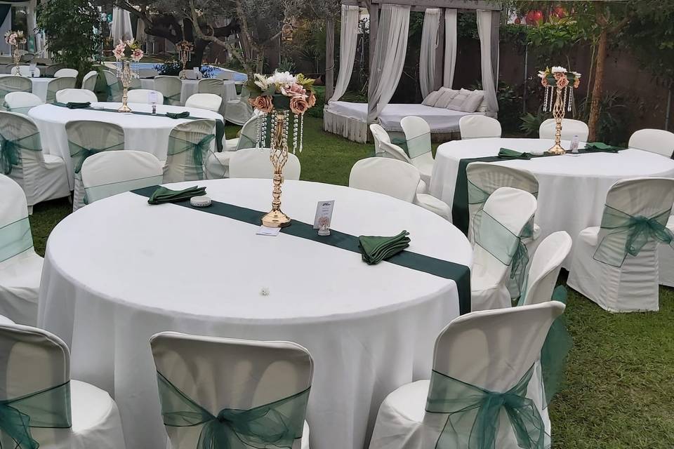 Boda Civil entre olivos