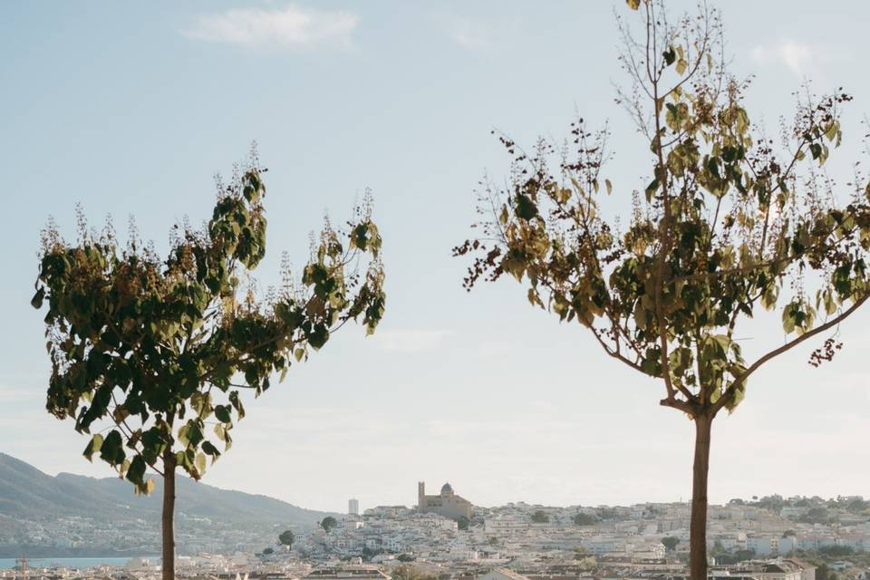 La finca de montemolar