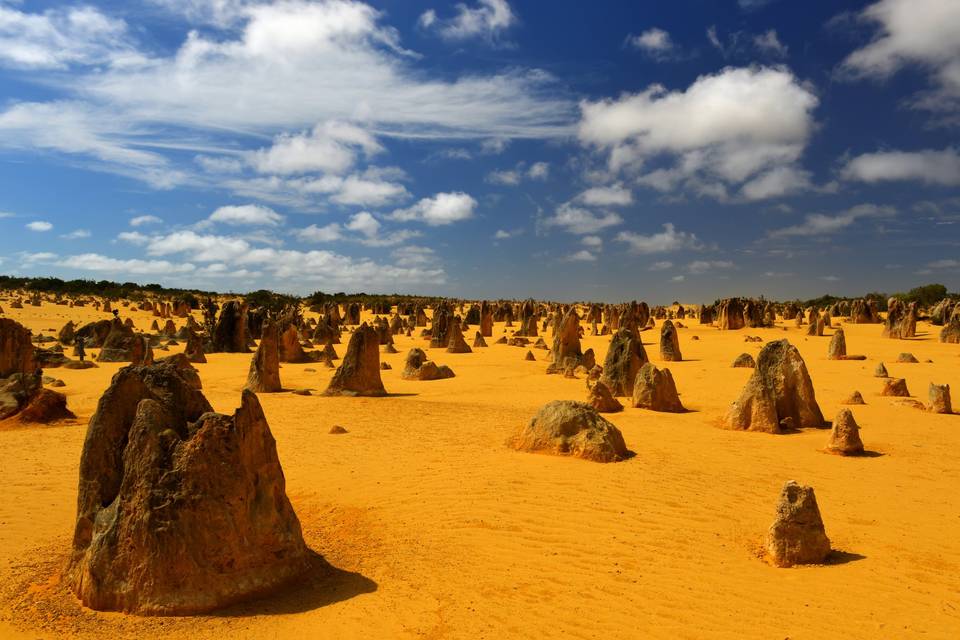 Desierto de pináculos, Austral