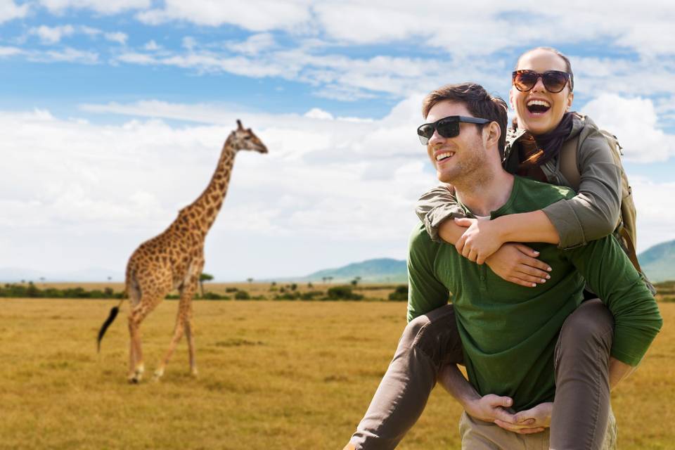 Kenia, safari