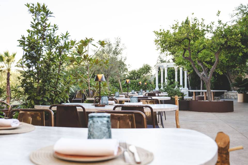 Terraza
