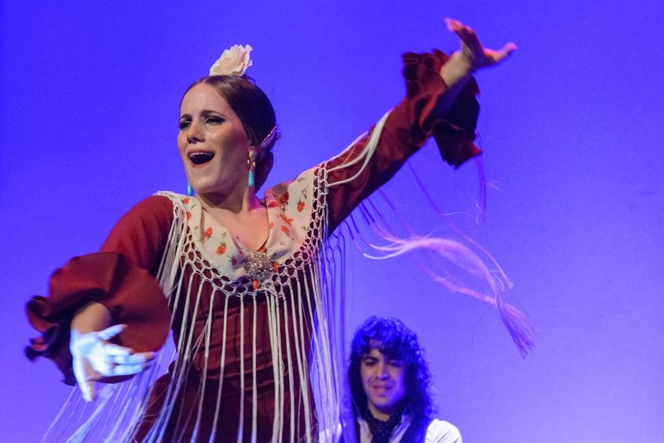 Sevillana de Arte Flamenco