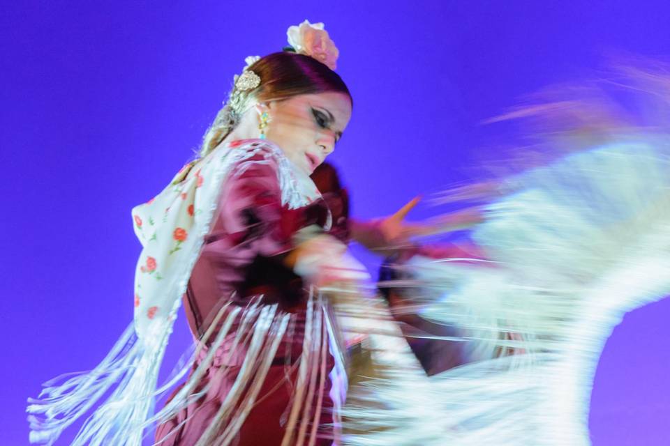 Sevillana de Arte Flamenco