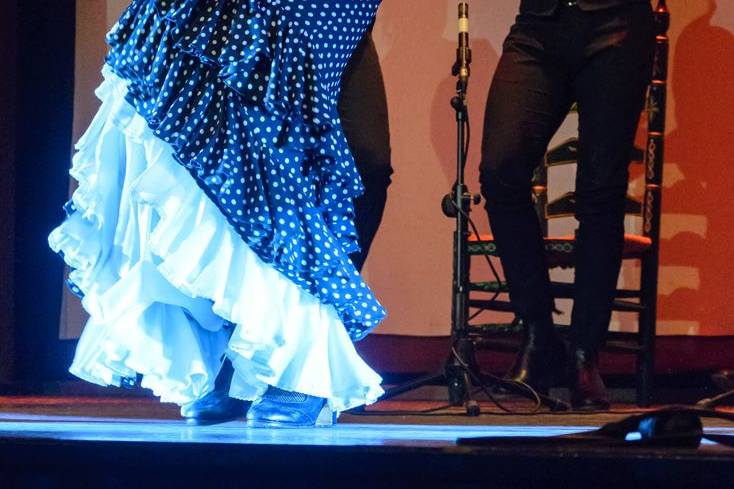 Baile, toque y cante flamenco