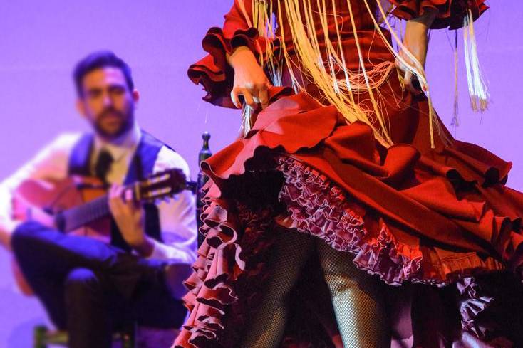 Sevillana de Arte Flamenco