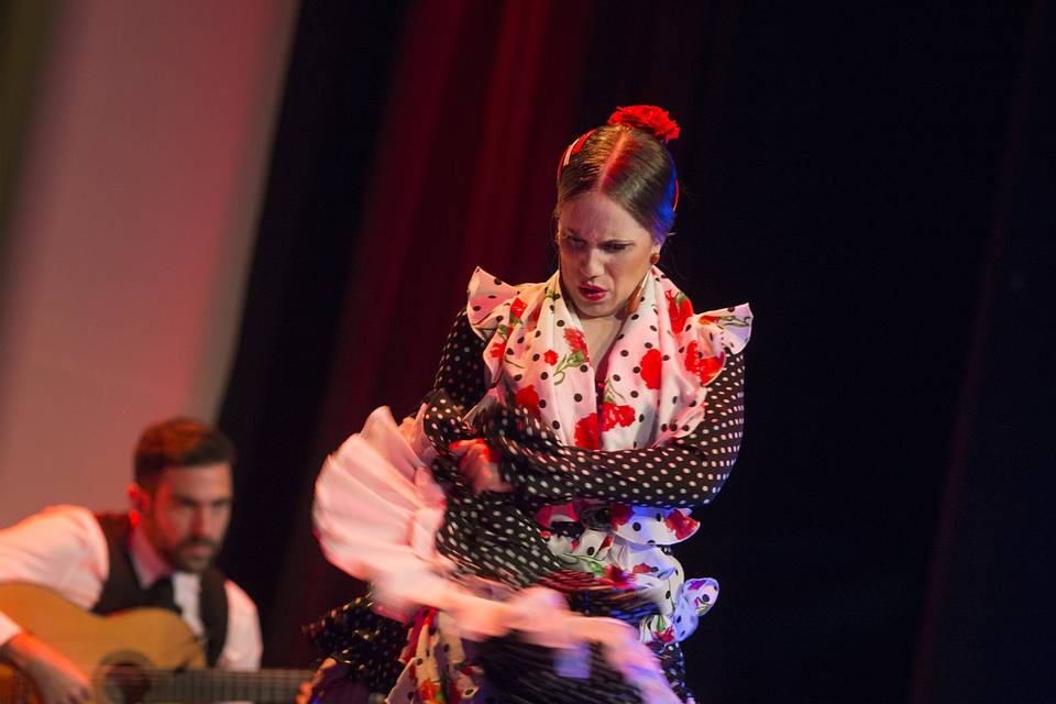 Sevillana de Arte Flamenco