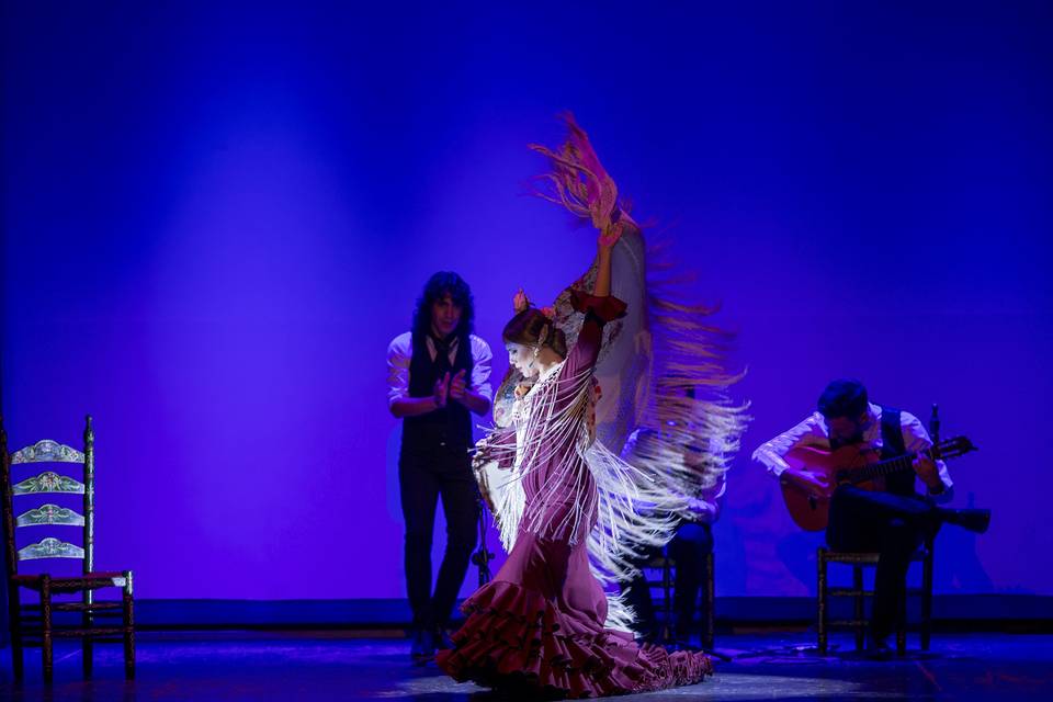 Sevillana de Arte Flamenco