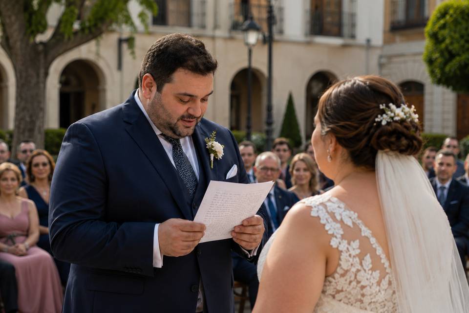 Novios