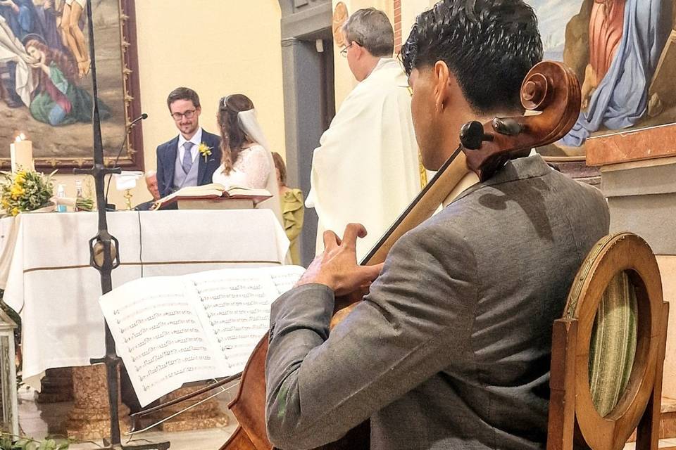 Bodas