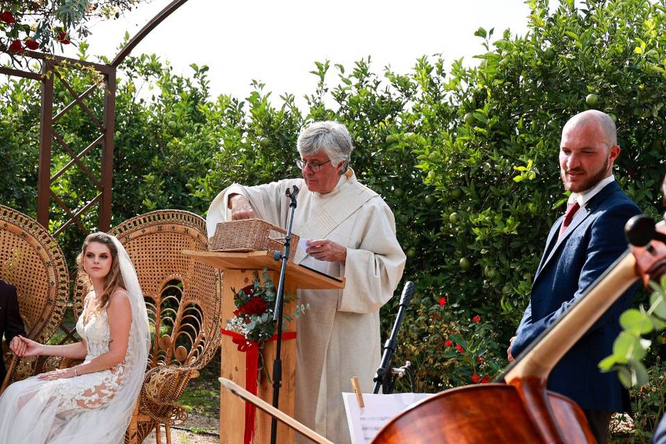 Bodas