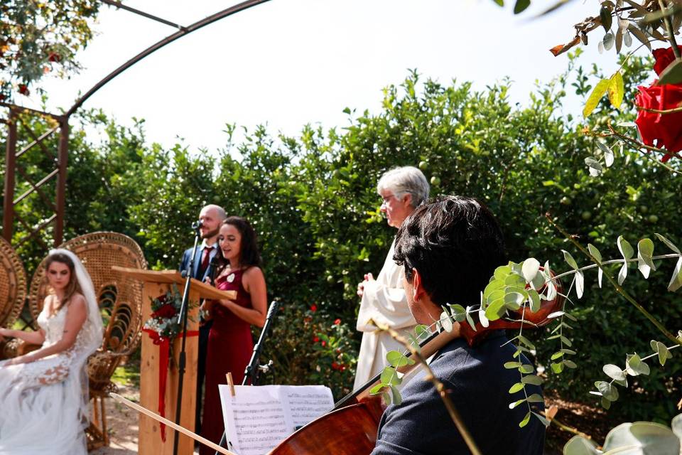 Bodas