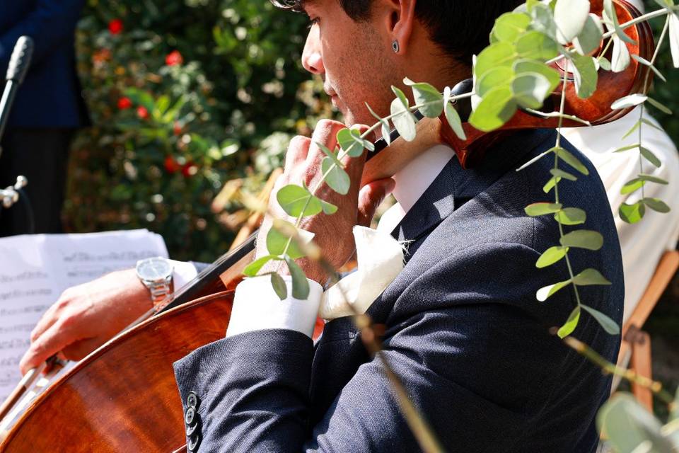 Bodas