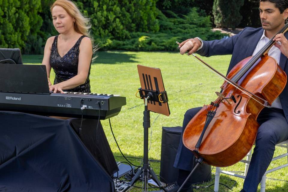 Bodas